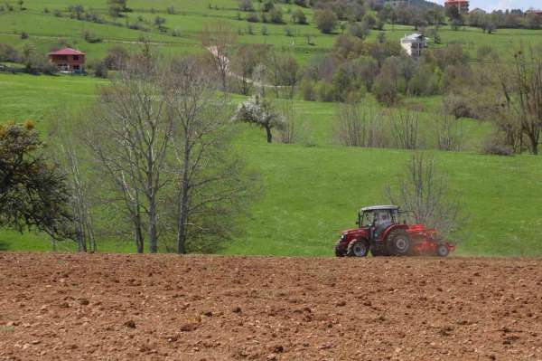 Ordu'nun atıl arazileri bereketleniyor: 34 bin 800 dekar atıl arazi tarıma kazandırıldı