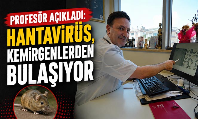 Profesör açıkladı: 'Hantavirüs, kemirgenlerden bulaşıyor'
