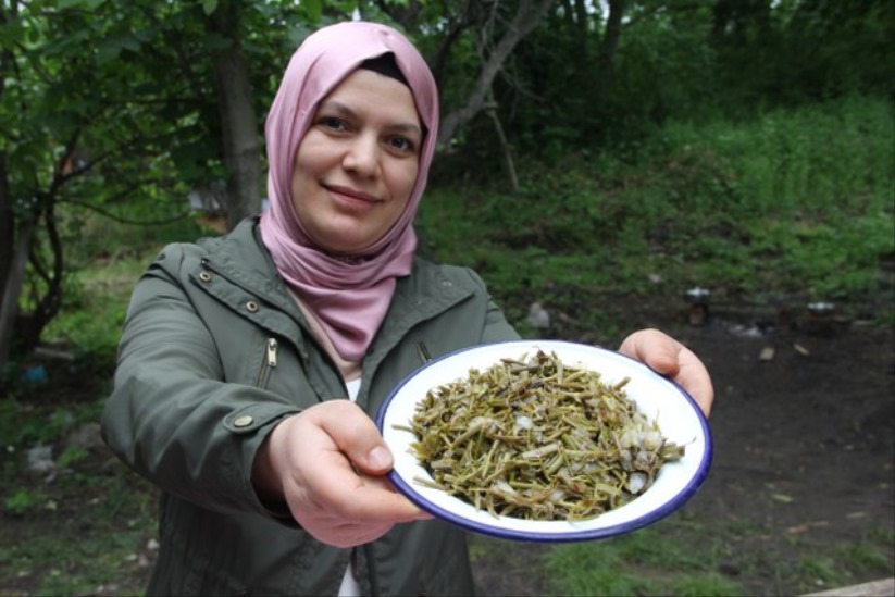 Dikenlerin arasından gelen lezzet: Kırçan