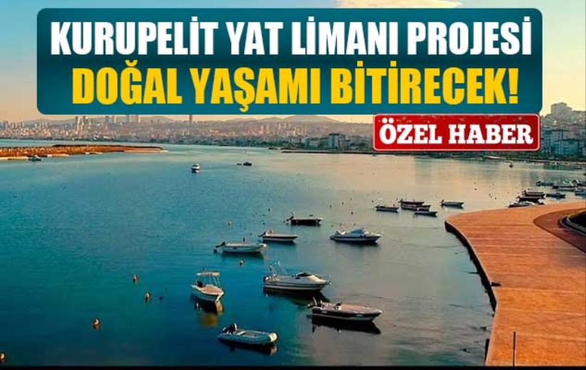 Kurupelit Yat Limanı projesi doğal yaşamı bitirecek!