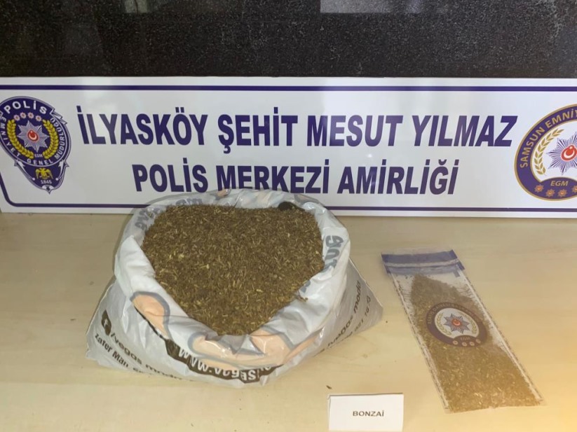 Samsun'da 1 kilo 172 gram bonzai ele geçti: 1 gözaltı