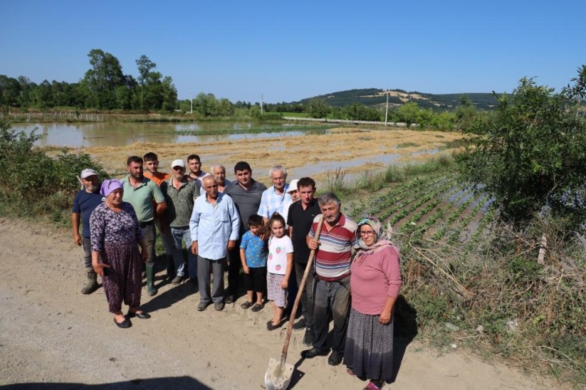 Samsun'da su kanalı taştı, mahsuller sular altında: Üreticiler tepkili
