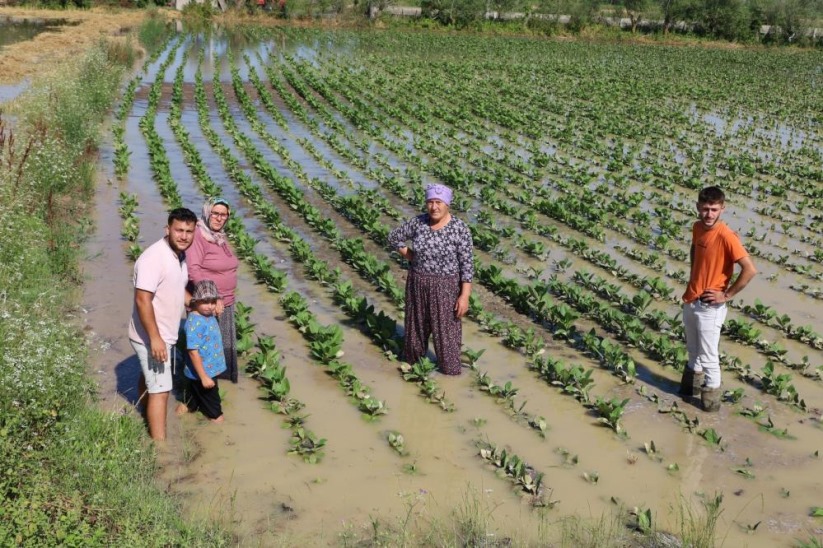 Samsun'da su kanalı taştı, mahsuller sular altında: Üreticiler tepkili