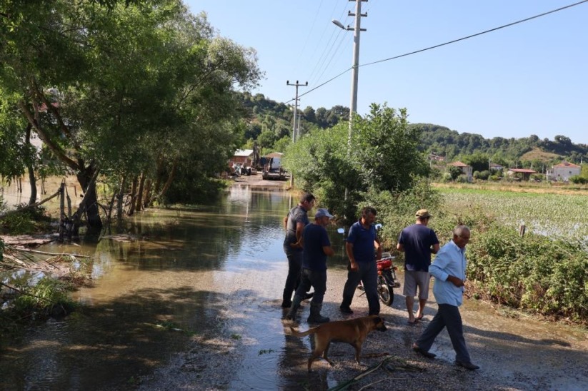 Samsun'da su kanalı taştı, mahsuller sular altında: Üreticiler tepkili