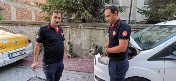 İtfaiye ekiplerinden yavru kedi kurtarma operasyonu