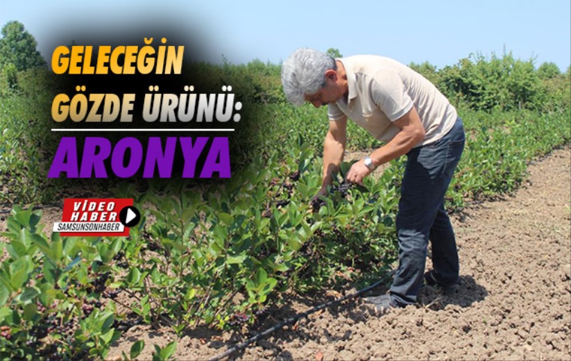 Geleceğin gözde ürünü: Aronya