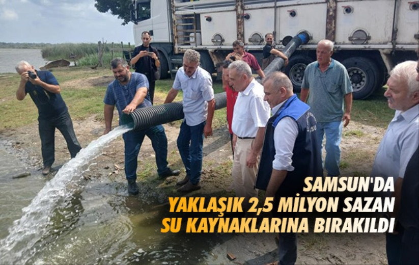 Samsun'da yaklaşık 2,5 milyon sazan su kaynaklarına bırakıldı