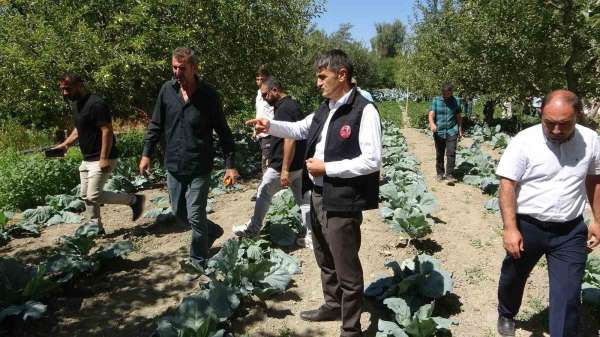 Modern basınçlı sulama sistemiyle hem işçilikten hem de verimden kazandı