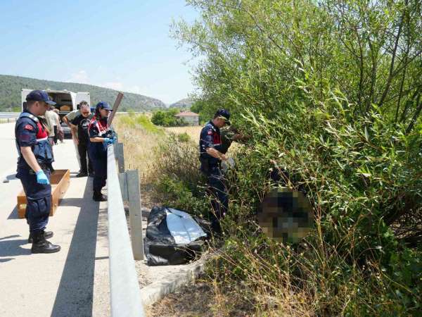 Otomobilin çarptığı bisikletli ağacın altında ölü bulundu, kaçan sürücü kısa sürede yakalandı