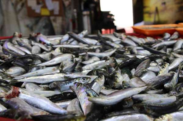 Uşak'ta balık tezgahları doldu