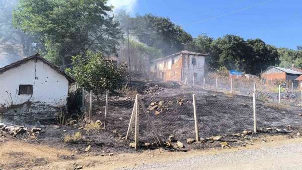Bilecik'te orman yangınına sebebiyet veren şahıs gözaltına alındı