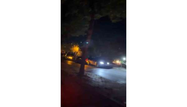 Bolu'da yola çıkan köpekler zincirleme kazaya neden oldu