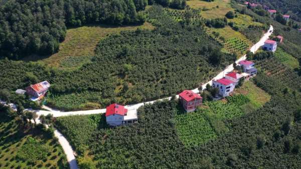 Ordu'da 35 yıllık yol sorunu çözüme kavuşturuldu