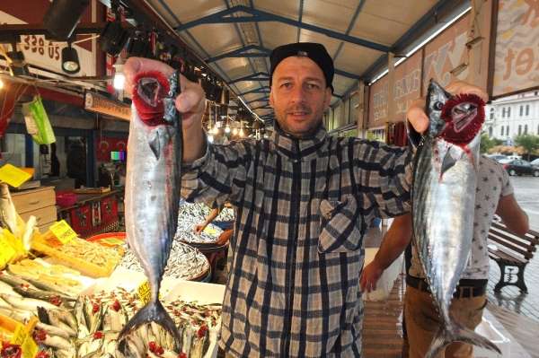 Marmara'nın ilk palamutları tezgahlardaki yerini aldı