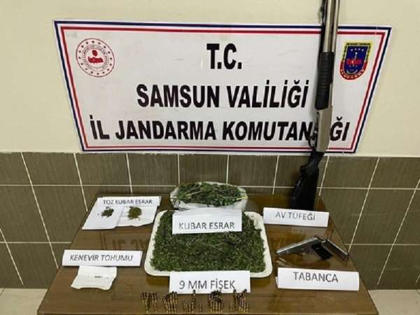 Samsun'da 5,1 kilo kubar esrar ve 4 bin kök kenevir bitkisi ele geçirildi: 15 gözaltı