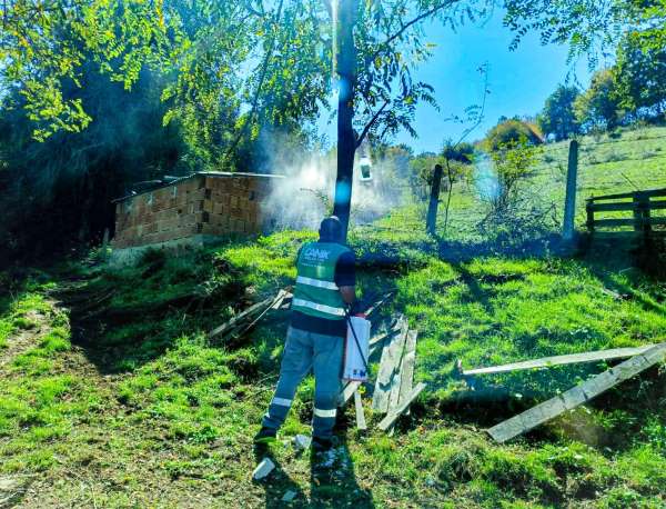 Canik'te kahverengi kokarca ile mücadele