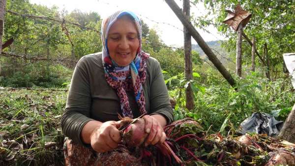 Giresun'da kadınlar geleneksel yöntemlerle kışlık yiyeceklerini hazırlıyor