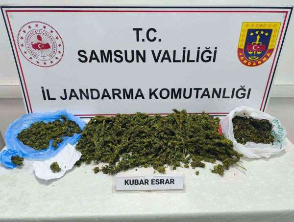 Samsun'da jandarmadan uyuşturucu operasyonu: 1 gözaltı