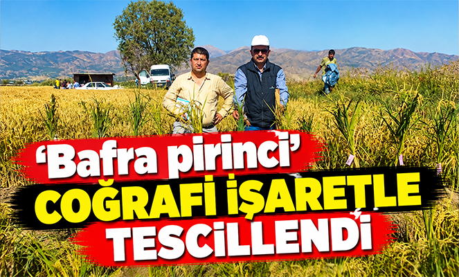 'Bafra pirinci' coğrafi işaretle tescillendi