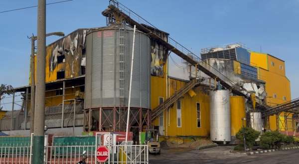 Bandırma'da yağ fabrikasında çıkan büyük yangın kontrol altına alındı