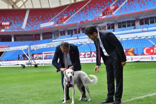 'Zibidi' Trabzonspor'a transfer oldu, ismi 'Fırtına' olarak değişti