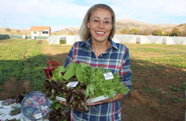 İstanbul'dan köyüne dönen gıda mühendisi kadın yeşil mirası renklendirdi
