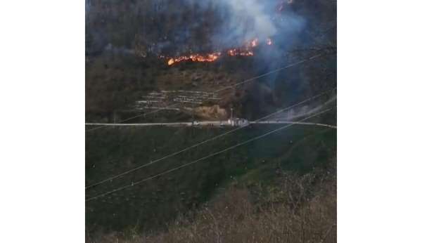 Bahçesinde ateş yakarken ormanlık alanda yangına neden oldu - Ordu haber