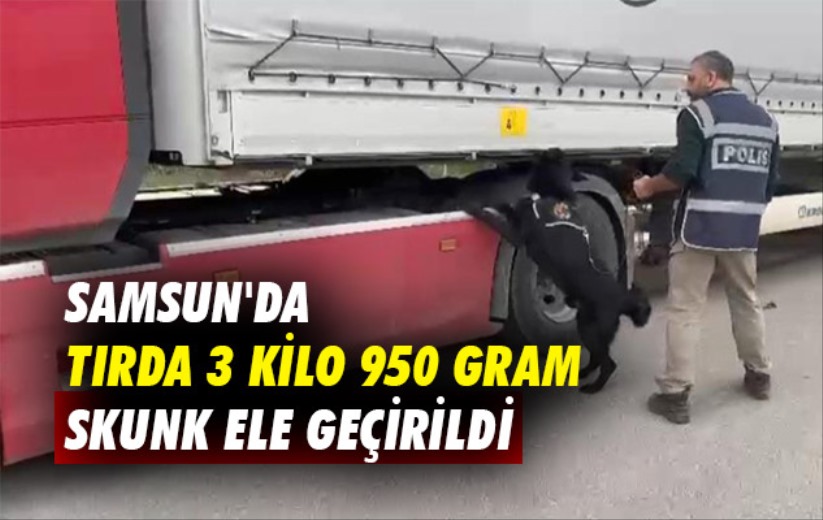 Samsun'da tırda 3 kilo 950 gram skunk ele geçirildi