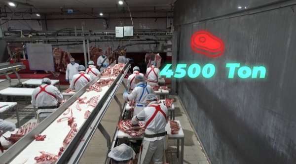 Bakan Yumaklı, '4 bin 500 ton kırmızı et üretimi ile Elazığ'ın tarımsal ve ekonomik potansiyeline güçlü bir ka