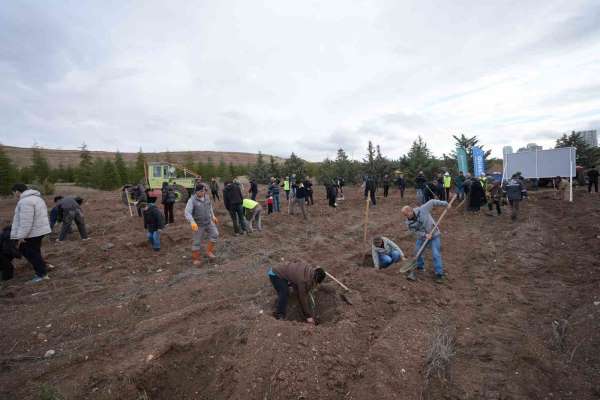TUSAŞ şehitleri anısına binlerce fidan toprakla buluştu