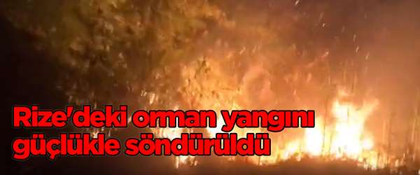 Rize'deki orman yangını güçlükle söndürüldü