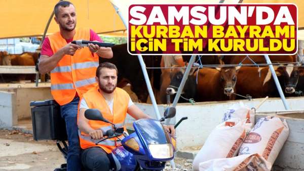 Samsun'da 'Boğa yakalama timi kurbana' hazır