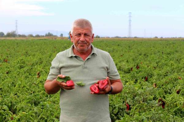 Çiftçilerden çağrı: 'Üretim maliyetleri baskılanamaz hale geldi'