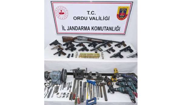 Ordu'da yasadışı silah operasyonu