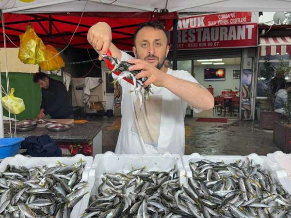 Zonguldak'ta istavrit tezgahta 100 liradan satıldı