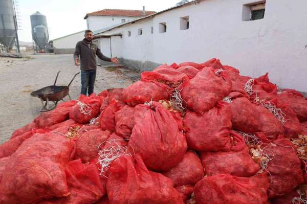 Üreticilerin elinde kalan soğanlar depolarda çürüyor - Ankara haber