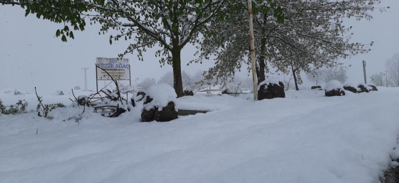 Samsun'da kar sürprizi