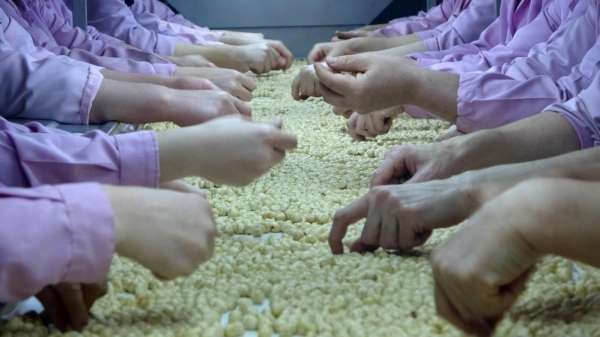 Düzce'de AB ülkelerine 8 bin 374 ton gönderildi