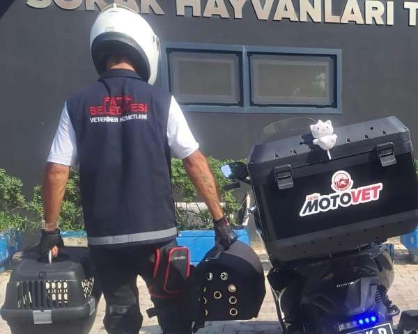 Fatih Belediyesi'nden doğaya can: Motovet ekibi yaralı kanatlıları hayata kazandırıyor