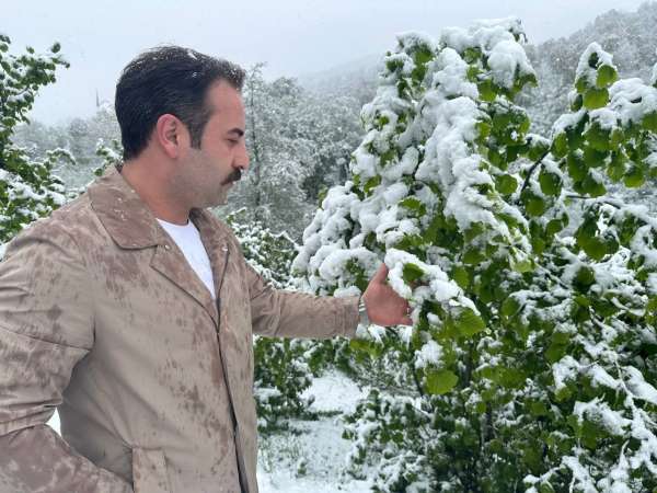 Ordu'nun yüksek kesimlerinde kar yağışı: Fındık üreticileri tedirgin oldu