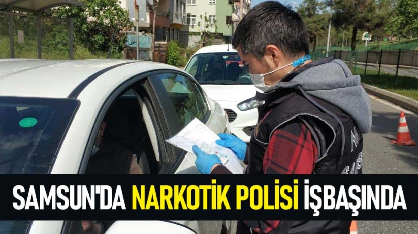 Samsun'da Narkotik Polisi işbaşında
