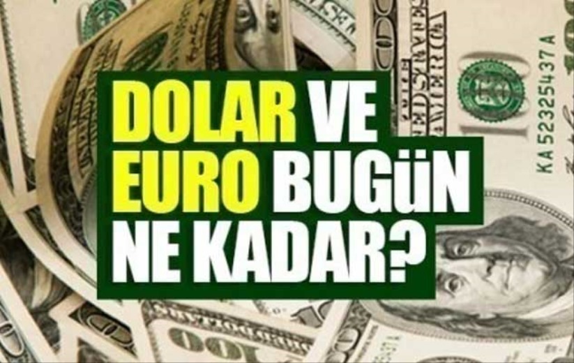Dolar ve Euro ne kadar oldu?