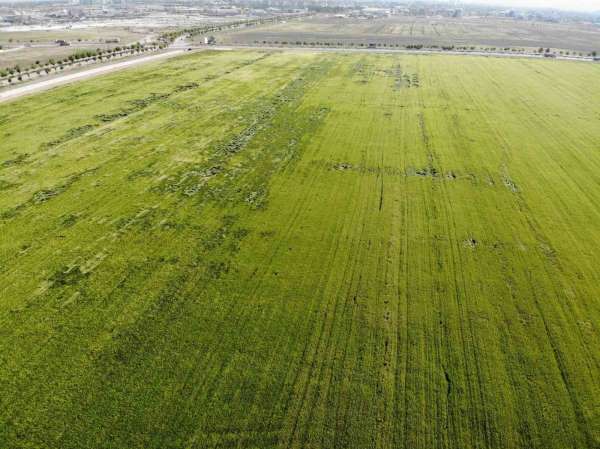 Karadeniz'den çıkan doğal gazla kurulacak gübre fabrikaları çiftçileri umutlandırdı