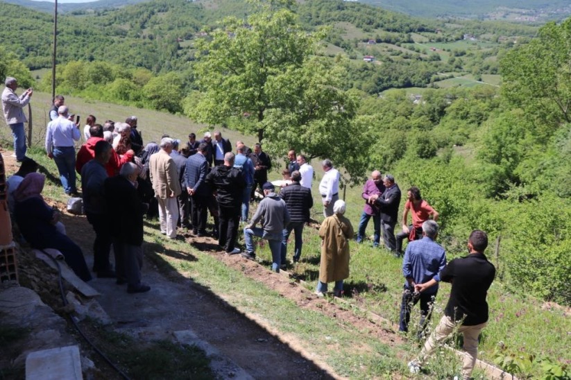 Kavak salebi markalaşıyor