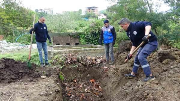 Giresun'da balık atıkları gübre ve yeme dönüşüyor