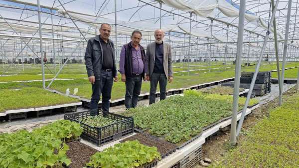 Karaman'da bir çiftçi kurduğu serada 5 milyon fide üretiyor