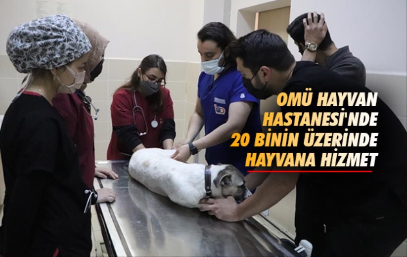 OMÜ Hayvan Hastanesi'nde 20 binin üzerinde hayvana hizmet