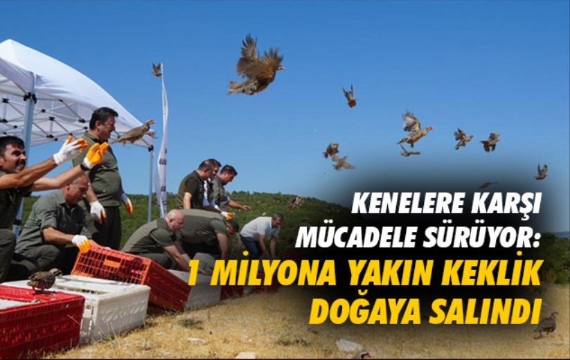 Kenelere karşı mücadele sürüyor: 1 milyona yakın keklik doğaya salındı