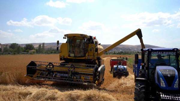 Sivas Cumhuriyet Üniversitesi'nde hasat bereketi başladı