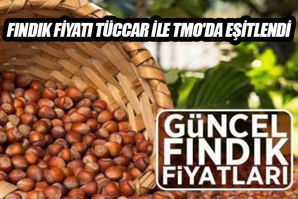 Fındık fiyatı tüccar ile TMO'da eşitlendi